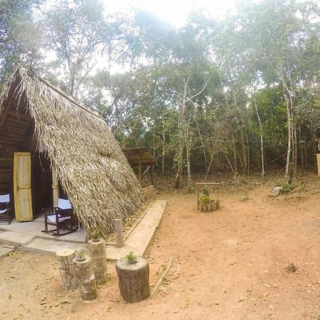 Hospedagem Aldeia Do Leao Carolina (Maranhao) Exterior foto