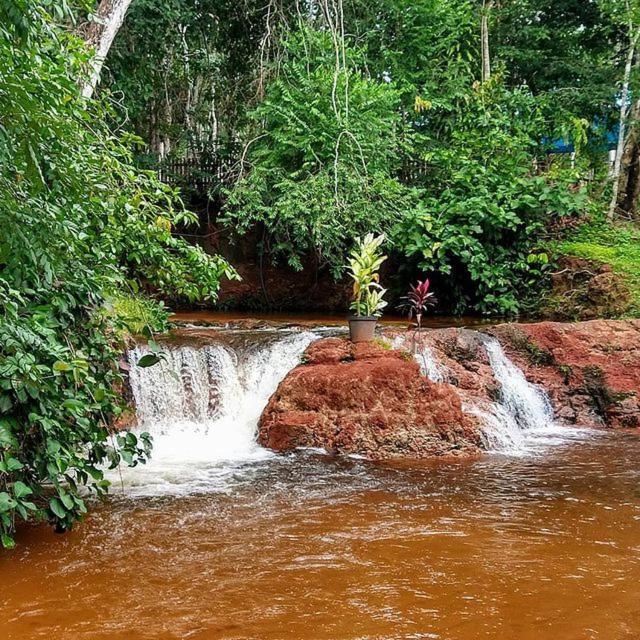 Hospedagem Aldeia Do Leao Carolina (Maranhao) Exterior foto